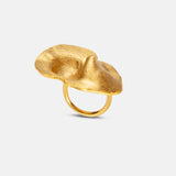 Anillo Fiba