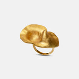 Anillo Fiba