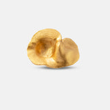 Anillo Fiba
