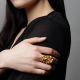 Anillo Big Bang